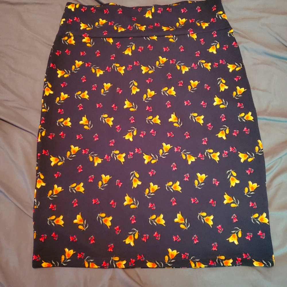 Lula Roe Skirt